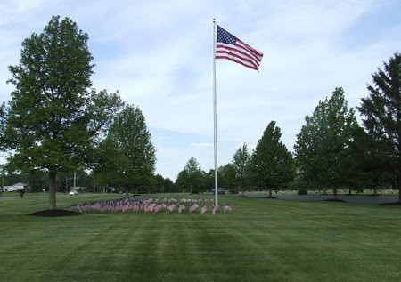 0460 flags